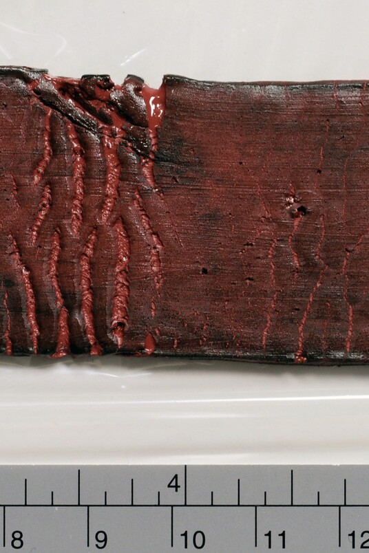 Detail eines Polyurethan-Ringes mit fortgeschrittener Zersetzung im Rissbereich