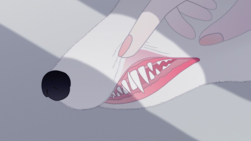 ORDINARY LIFE ©YORIKO MIZUSHIRI