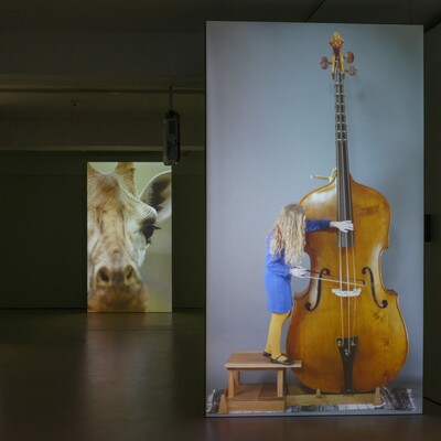 Annika Kahrs (*1984) Infra Voice, 2018 3-Kanal-Videoinstallation, 10:35 Min., in Farbe, mit Ton Hamburger Kunsthalle, Dauerleihgabe des Fonds für Junge Kunst der Stiftung Hamburger Kunstsammlungen © Annika Kahrs Foto: Hans Wulf Kunze