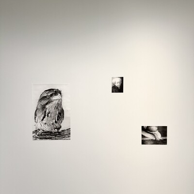 Ausstellungsansicht © Jochen Lempert/VG Bild-Kunst, Bonn 2023. Courtesy ProjecteSD, Barcelona and BQ, Berlin