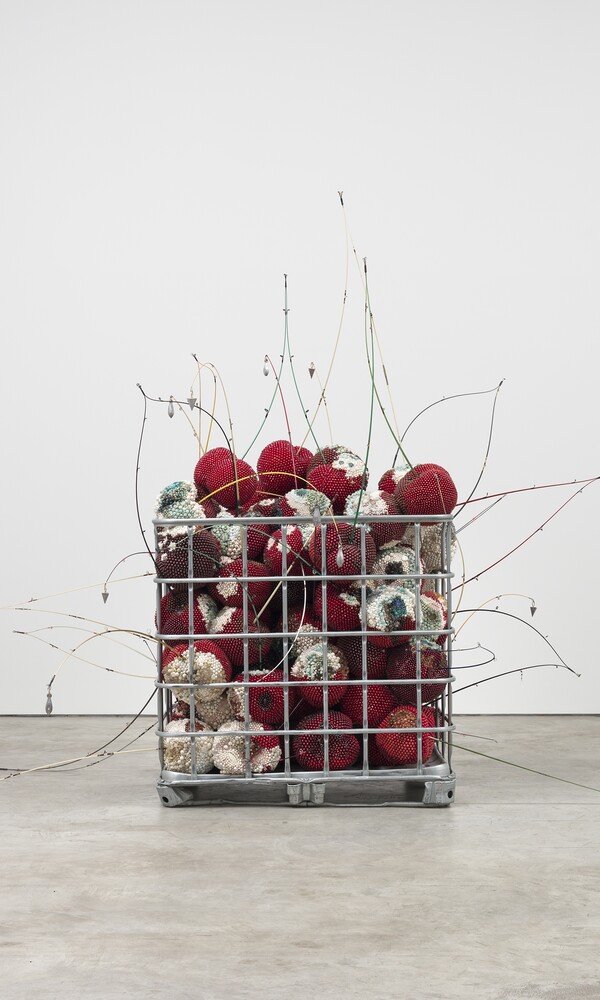 Kathleen Ryan, Bad Cherries, 2021, 250,19 x 254 x 280,67 cm  Private Collection of Timothy C. Headington  © Kathleen Ryan. Courtesy the artist and Karma, Foto: Lance Brewer 